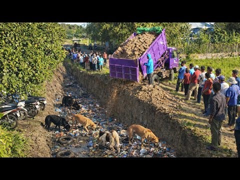 First Start Amazing PROJECT!! Filling Land Delete Deep Fish Pond Use Strong Bulldozer & 5Ton Truck.