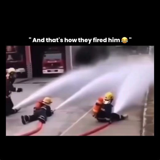 TrendTok Daily on Instagram: "This video perfectly captures a fascinating example of animal curiosity and sensory learning. Cats are naturally drawn to moving objects because their vision is highly sensitive to motion—much more than to fine detail. The spinning fan triggers a cat’s prey-instinct reflex, similar to how they react to fluttering insects or moving toys. At the same time, the airflow stimulates their whiskers, which are extremely sensitive sensory organs used to judge distance, speed