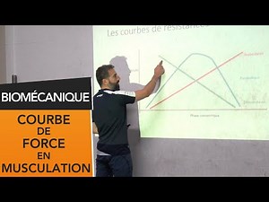 Resistance curves in bodybuilding [STAPS COURSE]