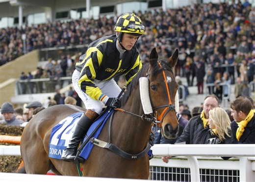 Amateur National Hunt Jockey Sam Lee Dies at 27