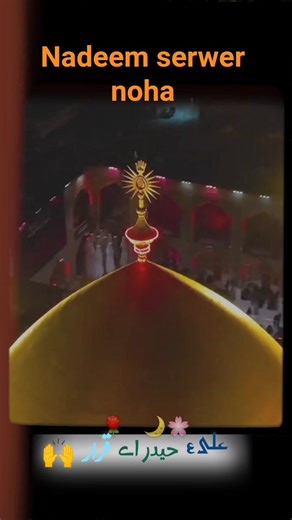 ❣️ Ali Haider Karar Noha Status | Nadeem Sarwar 🔥🥰Heart Touching Noha Muharram Special 🖤#shorts