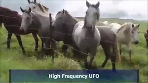 41K views · 333 reactions | OVNI de Alta Fequencia - High Frequency...