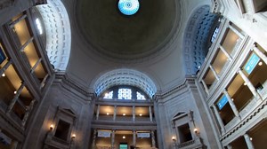 Unveil Giant Dinosaurs in High-Resolution: 4K Walking Tour of the Natural History Museum