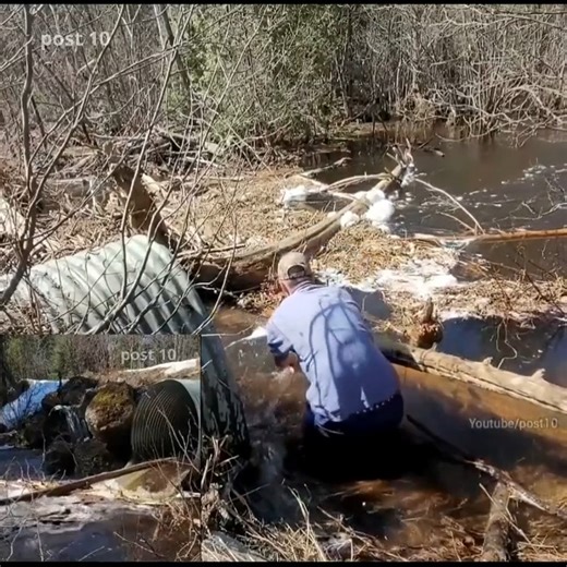 16K views · 178 reactions | Part 2 Dismantling Log Jam. Unclogging Culvert | Pos10 | Facebook
