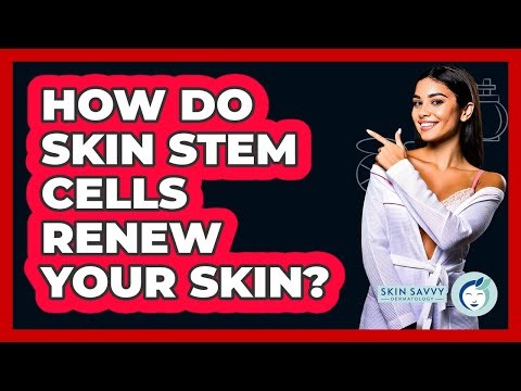 How Do Skin Stem Cells Renew Your Skin? - Skin Savvy Dermatology