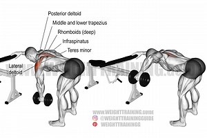 One-arm reverse dumbbell fly exercise instructions and videos