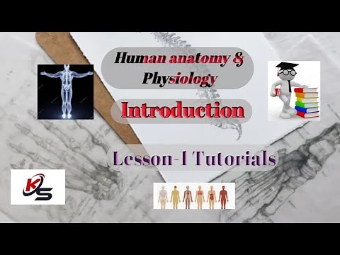 Introduction to Human anatomy and physiology in Tamil