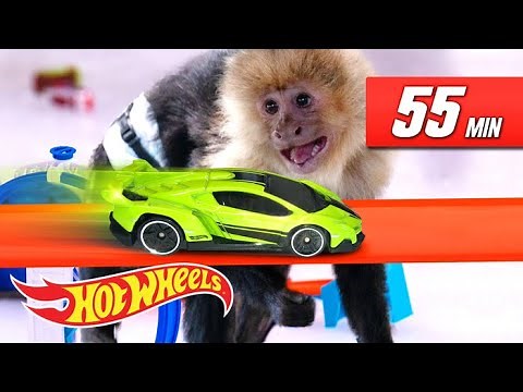 THE ULTIMATE FAST TRACK CAR LAUNCHING EXPERIENCE! | Fast Track | ‪@HotWheels‬