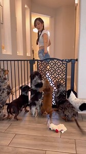 642K views · 54K reactions | Way to roast me Einstein for no reason…  Code: WEEN15 for your very own! Thank you @petlibro | The Weens | Facebook