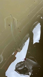 14K views · 277 reactions | Another day, another strange marina...