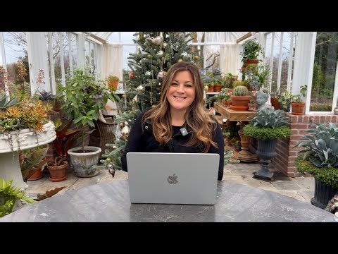 My 2026 Annual Flower Order! 🌼🌸🌻