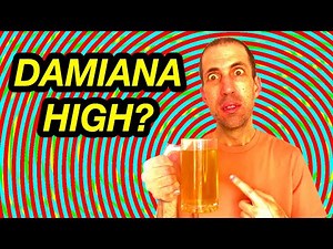 Trying DAMIANA - Good as Marijuana and 100% Legal??
