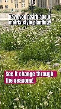 One Simple Planting Technique, Endless Visual Interest #perennialgardens #matrixplanting