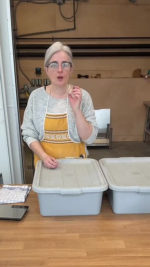 Mastering the Aliquot Method for Sourdough Bread