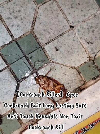 Effective Cockroach Killer: 6pcs Bait for Home Use