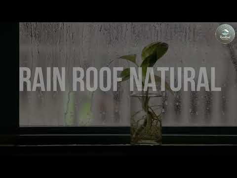 1h Rainy Day Piano: Relaxing Music for Deep Sleep, Focus & Stress Relief