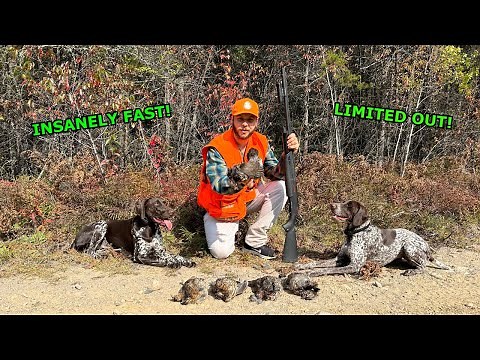 15 Minute LIMIT While GROUSE HUNTING!!!