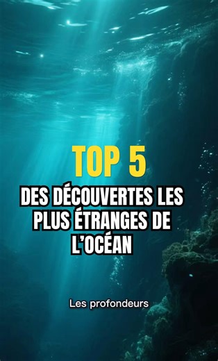TOP 5 des découvertes les plus étranges de l’océan 🔥