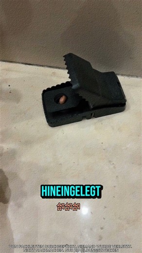 Funny fails with mousetraps 😂🤣