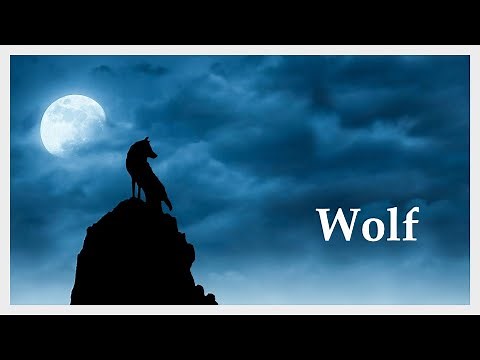 Wolf howling at the moon! Beautiful and relaxing wolf sound 2022!