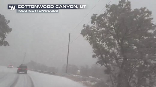 Driving through a cloud, these travelers faced near-zero visibility in Cottonwood Canyon, Utah, as the Wasatch Mountains received a heavy snowfall. | WeatherNation