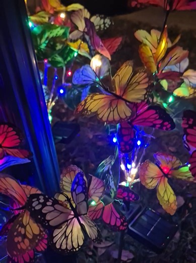These solar-powered butterfly lights are so perfect for spring! #springdecor #gardendecor #springtok #gardenlights #butterfly
