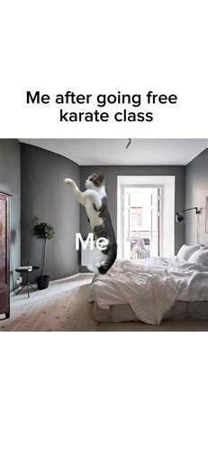 I am black belt in karate 😅