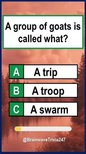 General Knowledge Quiz: #shorts #shortsfeed #quiz #gk