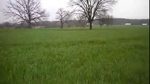 OverView of Agritec International Inc LIKE THIS PAGE and check out our web page http://bit.ly/2nLW8rU for more info click http://bit.ly/2MRMmik or Pm us | AgriTec International Inc.