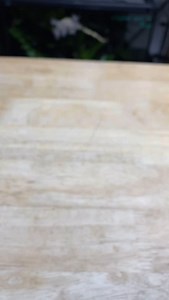 198K views · 162 reactions | Hand feeding my captive-bred baby...