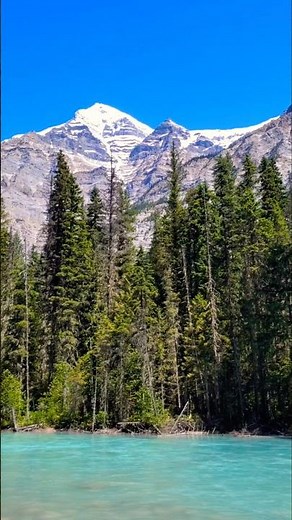 Turquoise River Flowing from Kinney Lake | Berg Lake Trail