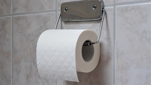 These Unique Toilet Paper Folds Will Leave A Lasting Impression On Your Guests - House Digest