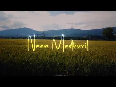 Nerparvai-para Paravai Ondru 🫶🏻🫠💞 Tamil song good feel 😄 || what's app status 