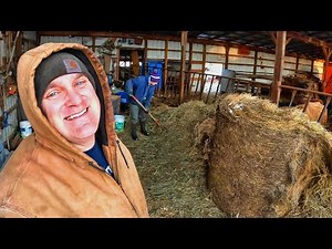 A New Farming Venture!