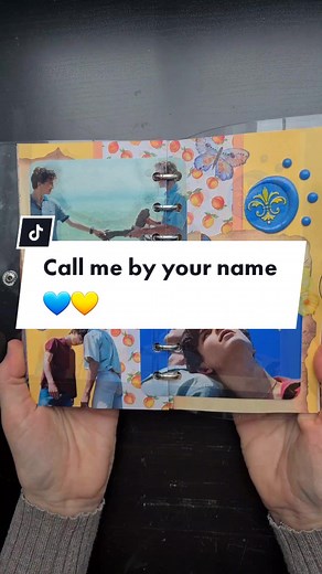 Exploring 'Call Me By Your Name' in Scrapbook Movies and Series Journals