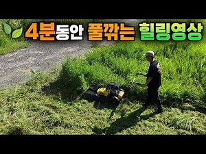 [4K] 긴 풀도 한방에 자르는 자주식 잔디깎이? 속 시원하게 풀 깍는 무편집 영상 #긴풀제초기 #제초기 #잔디깍기 #잔디깎는기계