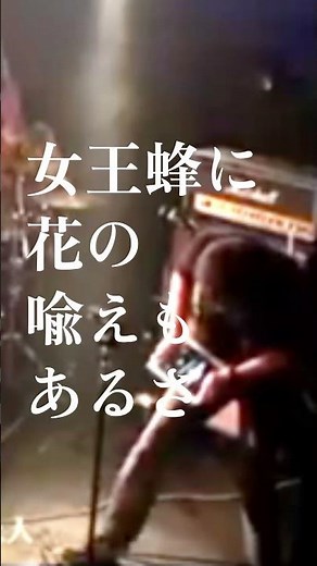 東京マリーバンド / 椿姫 2026 New Mix & Remastered #shorts