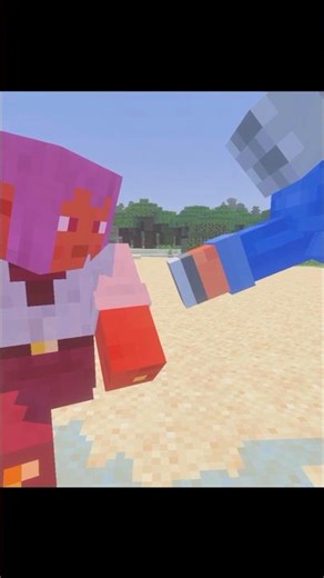 Get off my plane #minecraft #youtubeshorts #memes