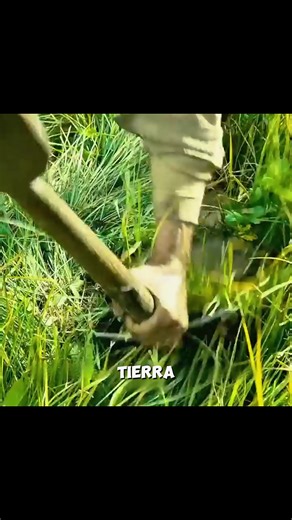 Discover the Latest from the TikTok Film and TV Competition