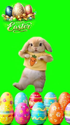 HAPPY EASTER GREENSCREEN RABBIT PETS DANCING funny viral meme shorts1 #happyeaster #greenscreen