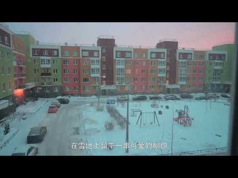 ⛄ 冬日雪地樂園 | 雪景短片