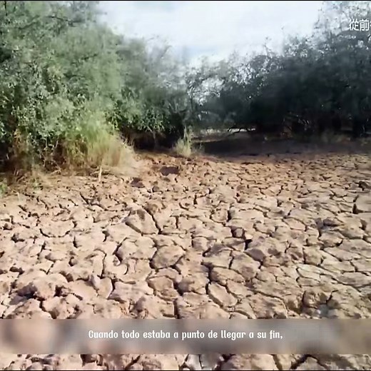 185K views · 4.6K reactions | Reseña del mundo animal 60 | El mundo animal | Facebook