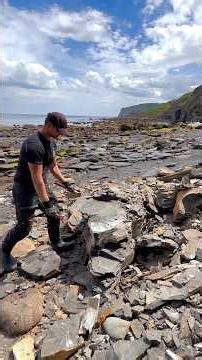 We searched a Jurassic Coast beach packed with hidden treasures nearly 180 million years old!