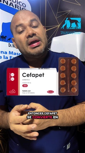 Antibióticos en pioderma profunda si, cefapet (cefalexina) se convierte en antibiótico de primera línea #drnoelmartinez #cefapet #cefalexina #pioderma #perros