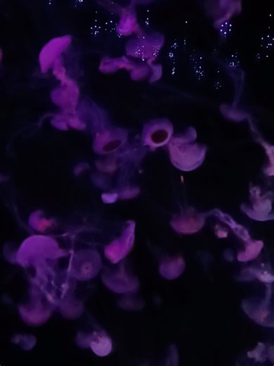 #moratbanda #nohaymasquehablar #pyf #viral #morat