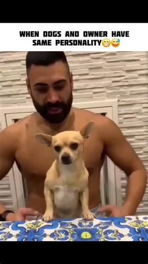 uk boy | Title: The Ultimate "Who Rescued Who?" Twin Edition 🐾🐕👯‍♂️ ​Director: Various Content Creators ​Genre: Comedy / Documentary Short / Animals... | Instagram