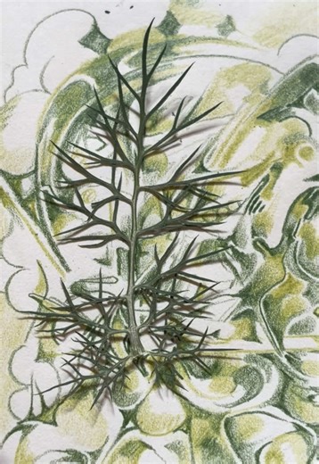 Pressed Flower Art: Botanical Sketchbook Process