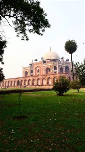 A Misty Morning in Delhi |📍 Humayun's Tomb #viral #love #shorts #travel #humayunstomb #travel