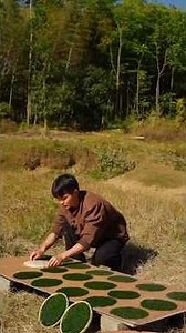 नदी की काई से बना जादुई खाना! | पारंपरिक गाँव की रेसिपी #recipe #villagelife