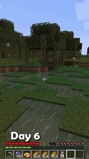 100 Day (6) Pixelmon - Learning how to fly